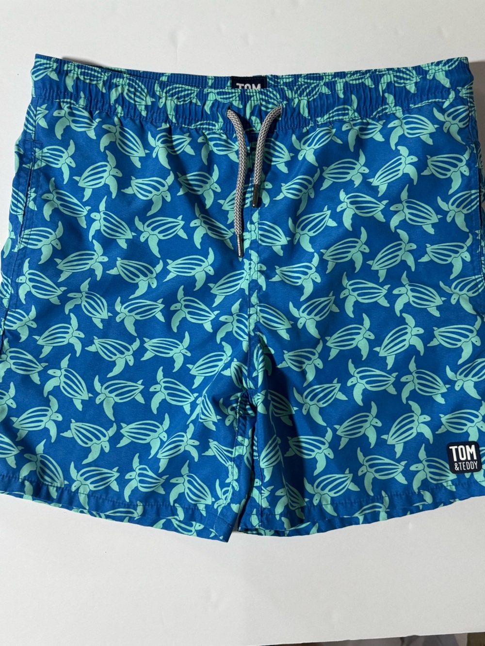 Tom & Teddy Blue Swim Trunks with Blue and Green Turtle Print - Picture 1 of 5